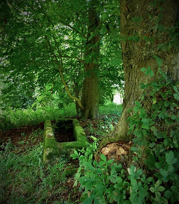 Where Unicorns Come From #flashfiction