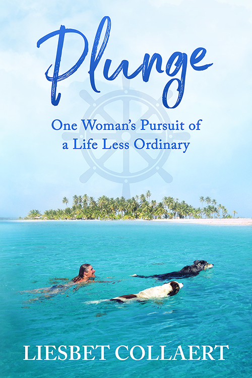 Book cover for Plunge by Liesbet Collaert