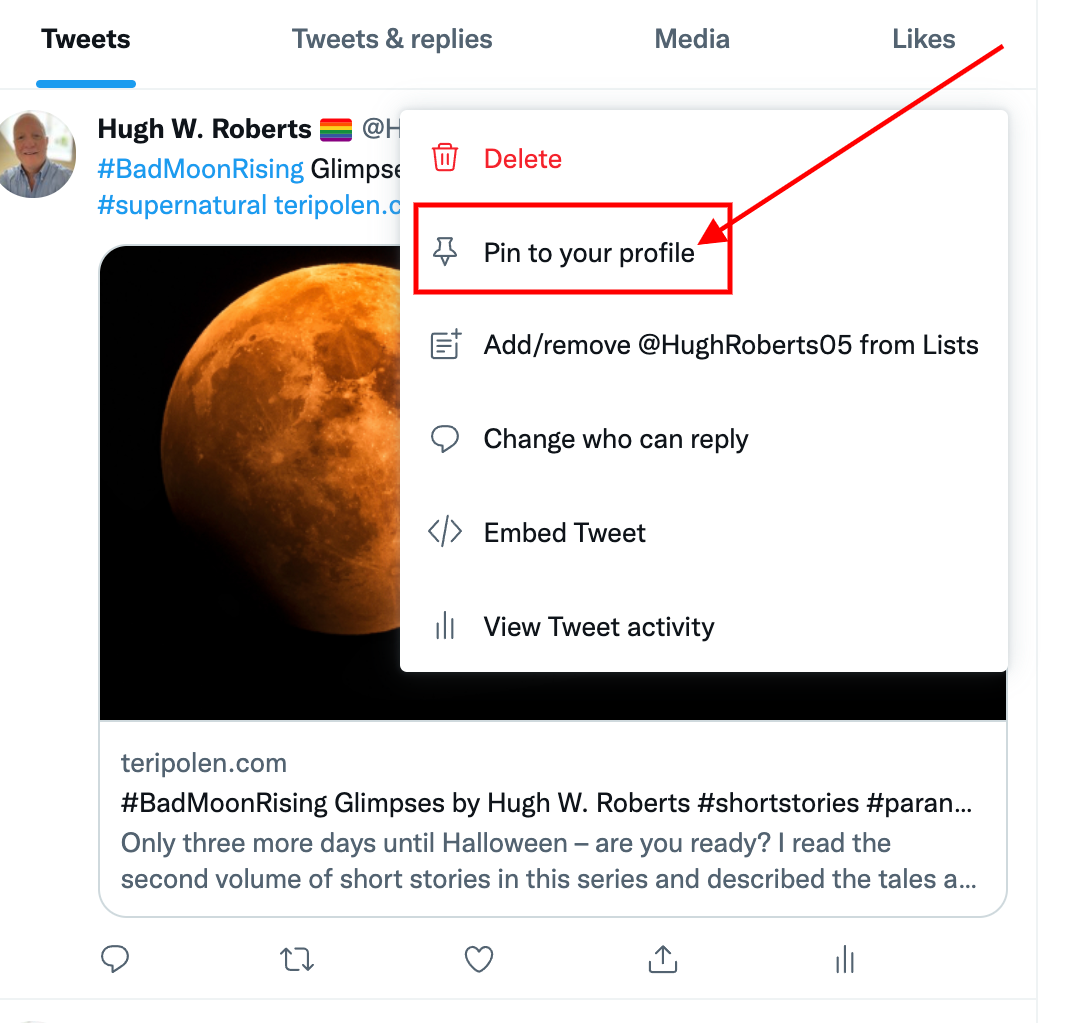 Image highlighting 'Pin To Your profile' on Twitter