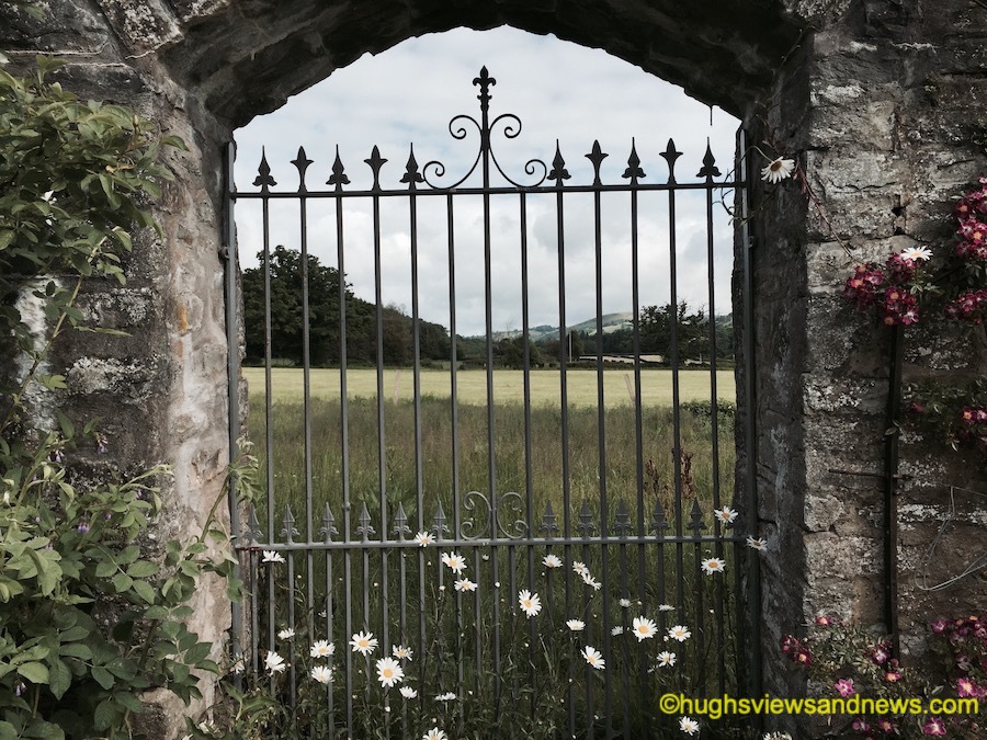 Photo of a gate in a wall. On the other side of the gate is a meadow.