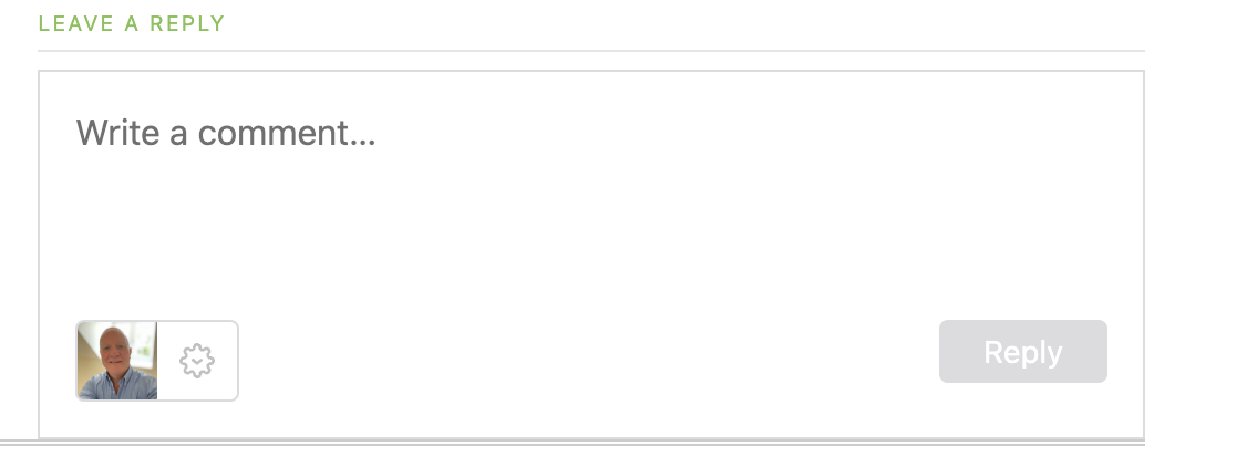How To Find Free Photos And Images On WordPress: Why You Should Use Them.