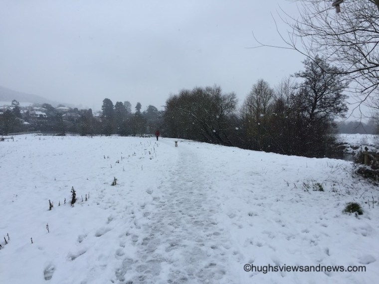 Photo of a snow meadow with footprints in the snow.