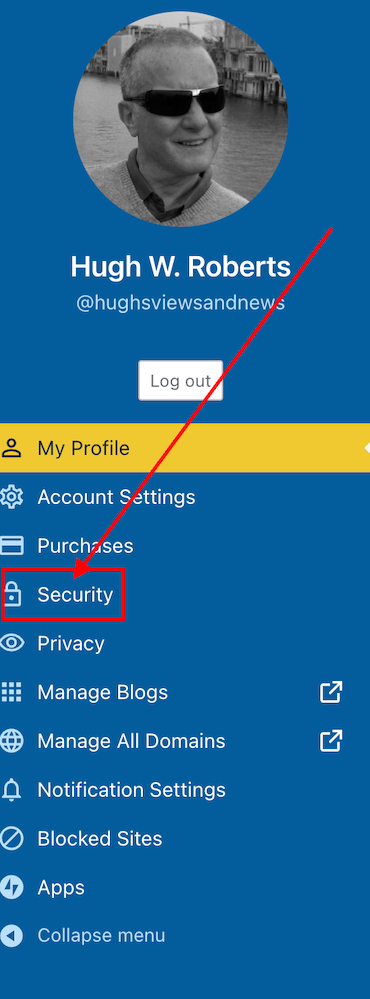 Image highlighting the 'Security' tab on a WordPress blog.