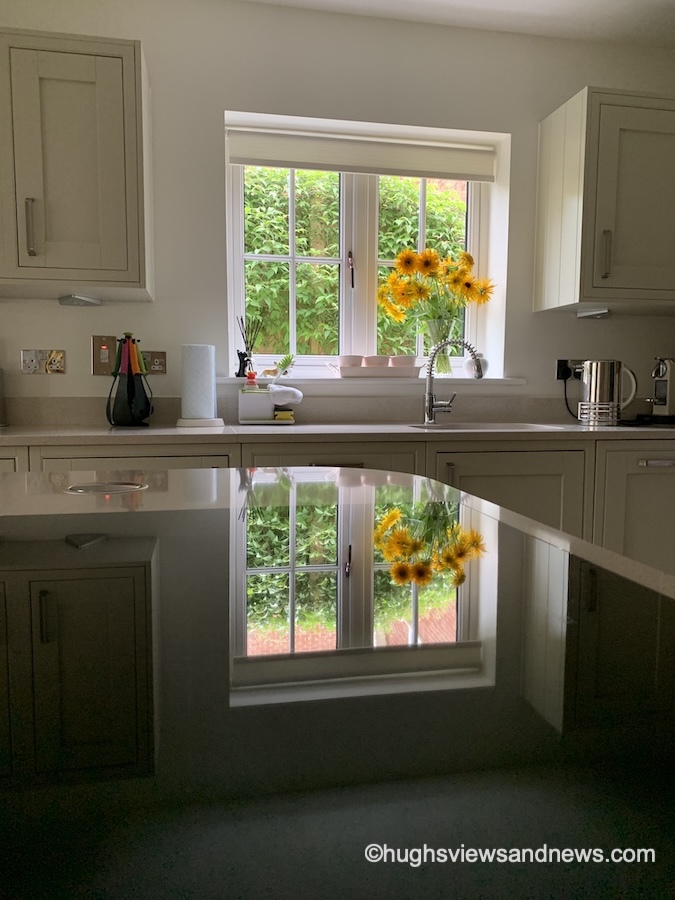 Photo of a kitchen window with a vase of sunflowers and other objects being reflected back on a dark surface.