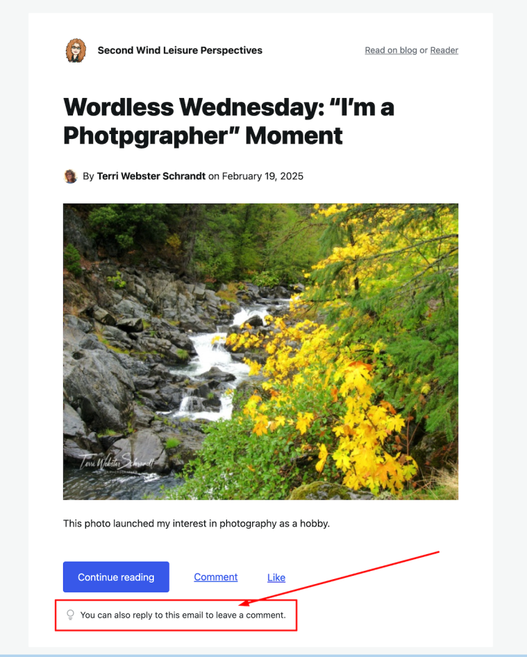 Image highlighting the 'You can also reply to this email to leave a comment' link on a new post notification from WordPress. 