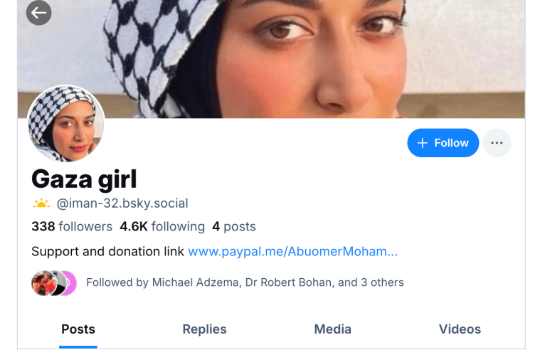 An image of a scammer account on BlueSky where a donation link is visible.