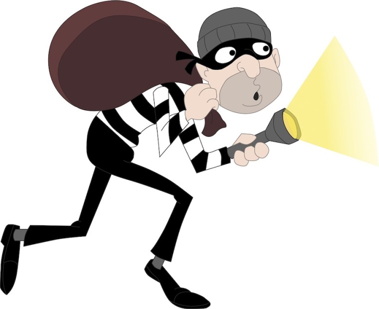 An image of a burglar holding a SWAG bag and a torch. 