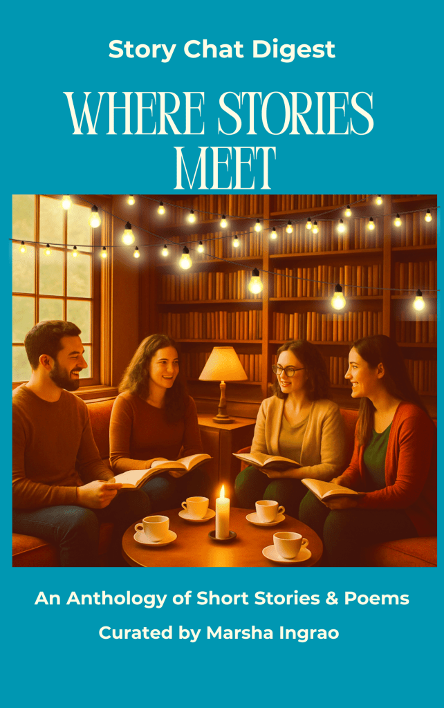 An image showing the front cover of the book Story Chat Digest: Where Stories Meet.