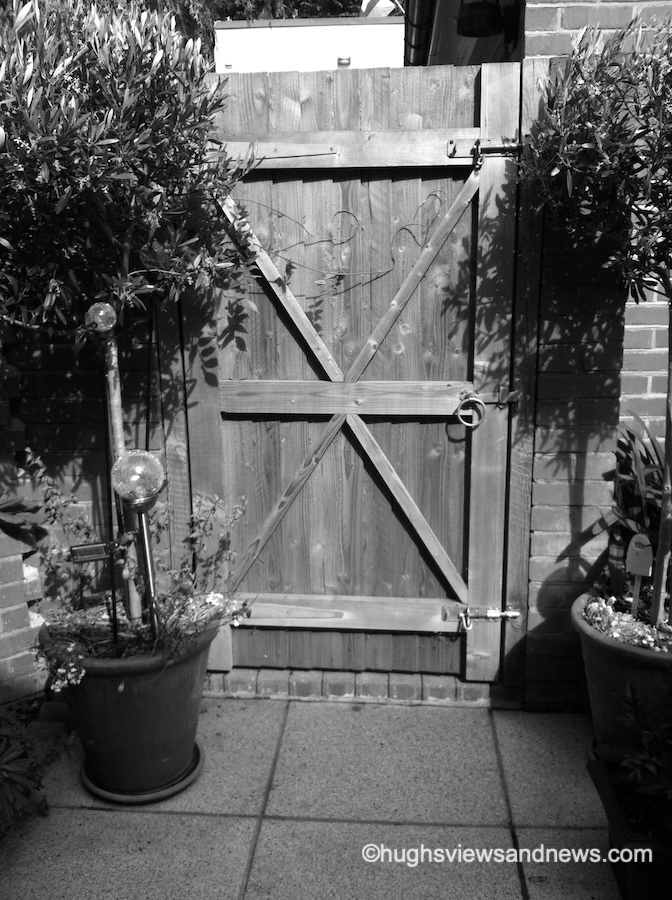 A black-and-white photo of a wooden garden gate from different angles. Next to the gate are two potted bay leaf trees.