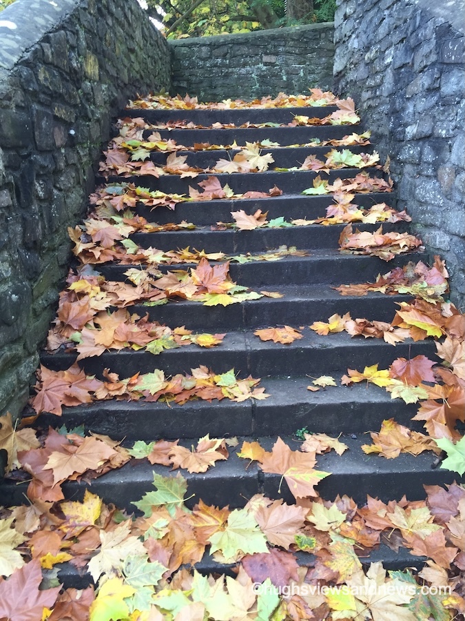 A low-angle view of outdoor stone steps flanked by rustic stone walls, heavily covered in fallen autumn leaves. The leaves display vibrant shades of yellow, gold, orange, and brown, blanketing each step leading up toward a stone landing at the top.